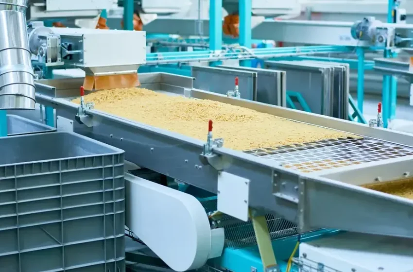 Palm Oil Equipment Integration into Snack Food and Bakery Production Lines