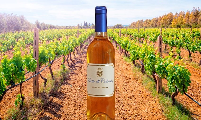 Sardinian Dessert Wines: A Sweet Taste of the Island