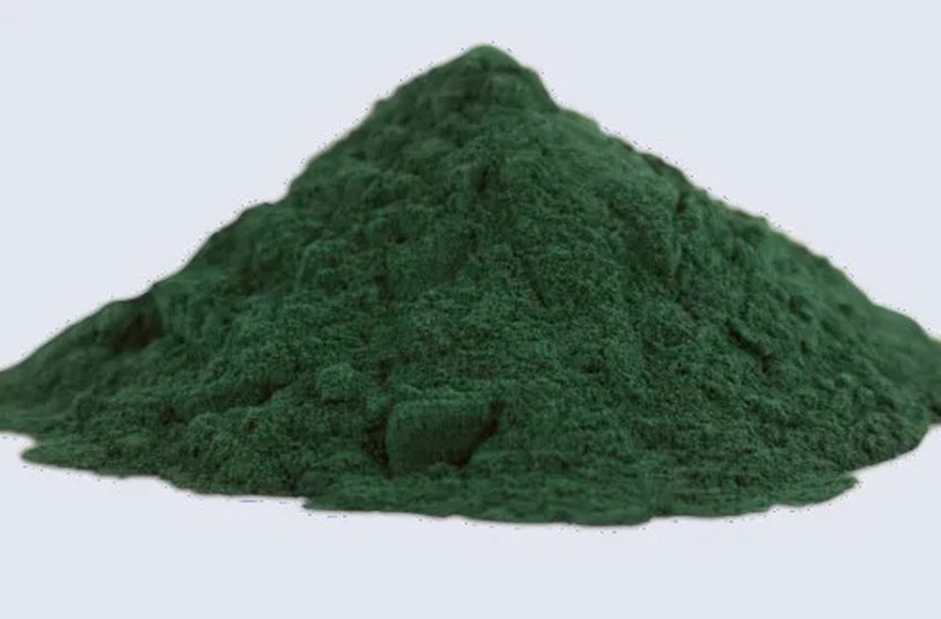  Food Color Suppliers for practical product color needs